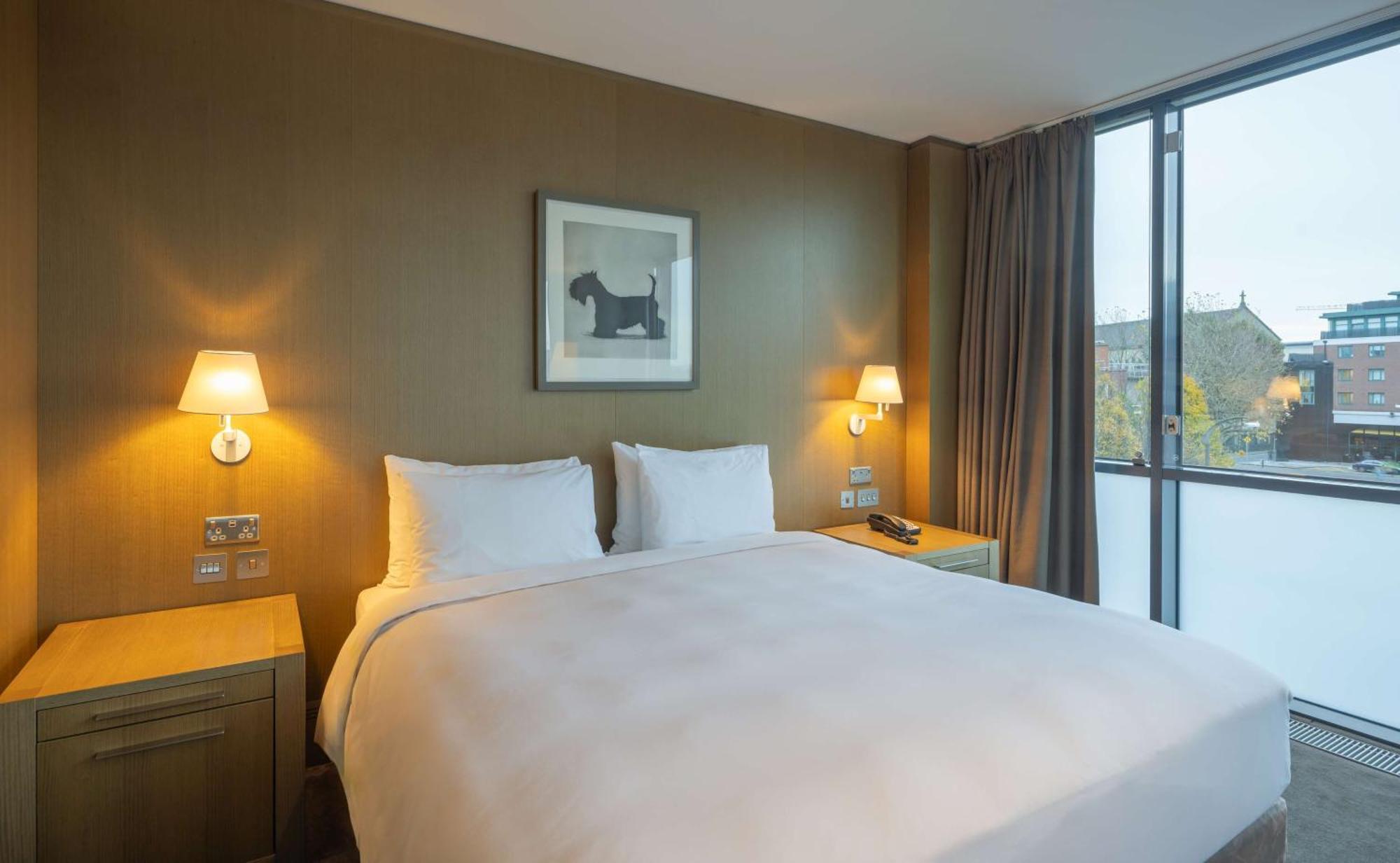 Radisson Blu Royal Hotel Dublin Exteriér fotografie